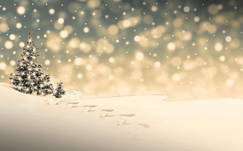 Weihnachtsgrüße 2021