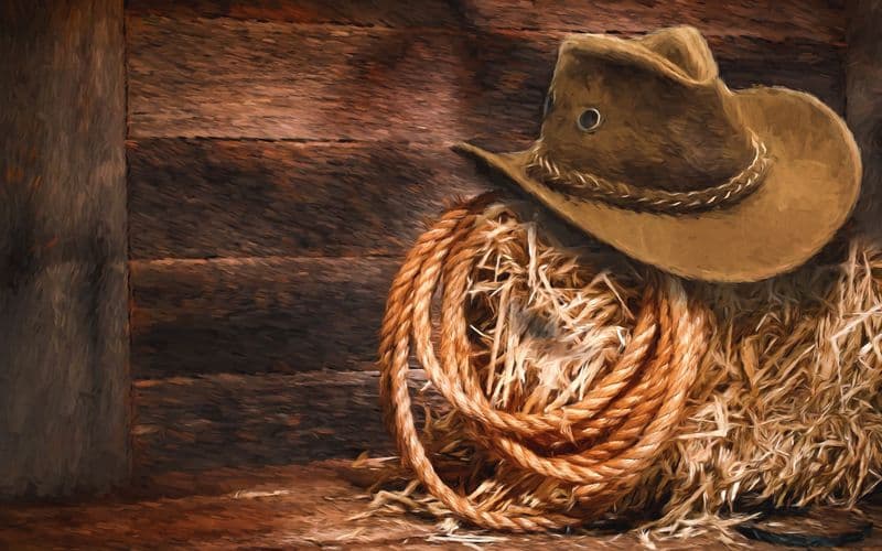 Einladung zum 32. Western- und Vorderladertreffen vom 13.05. bis 15.05.2016 – Bild